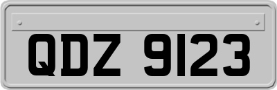 QDZ9123