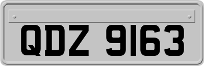 QDZ9163