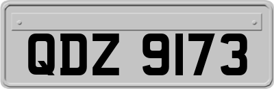 QDZ9173