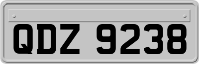 QDZ9238