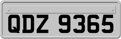 QDZ9365