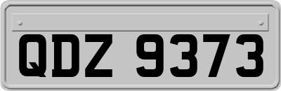 QDZ9373