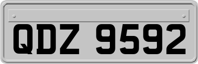 QDZ9592