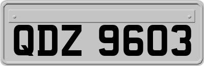 QDZ9603
