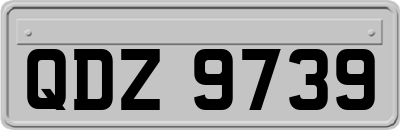 QDZ9739