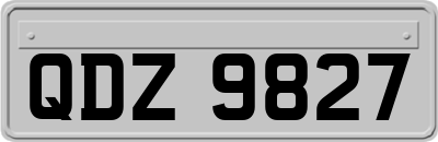 QDZ9827