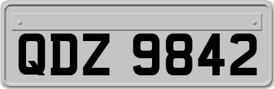 QDZ9842