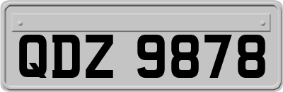 QDZ9878
