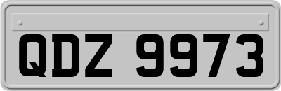 QDZ9973