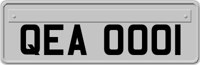 QEA0001
