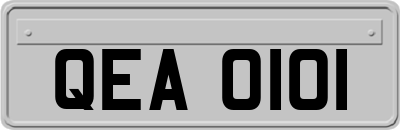QEA0101
