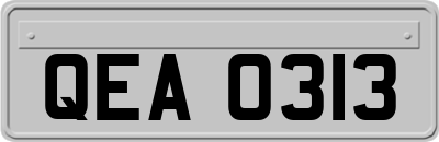 QEA0313