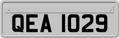 QEA1029