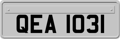 QEA1031