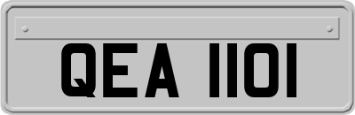 QEA1101