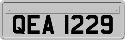 QEA1229