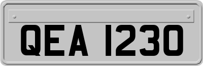 QEA1230