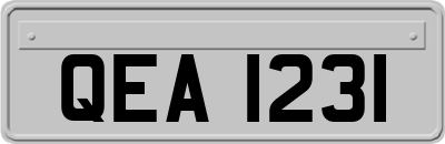 QEA1231