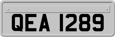 QEA1289
