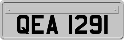 QEA1291