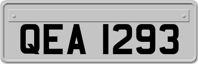 QEA1293