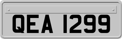 QEA1299
