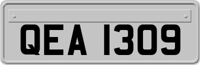 QEA1309
