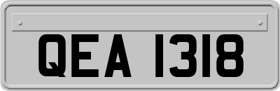 QEA1318
