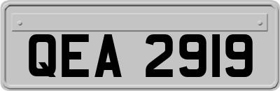 QEA2919