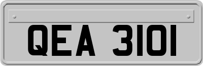 QEA3101