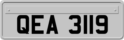 QEA3119