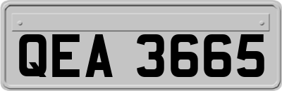 QEA3665