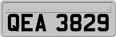 QEA3829
