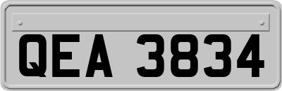 QEA3834