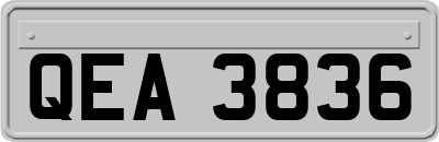 QEA3836