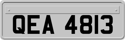 QEA4813