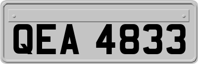 QEA4833
