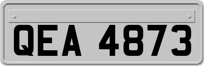 QEA4873