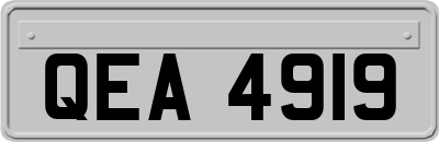 QEA4919