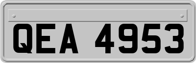 QEA4953