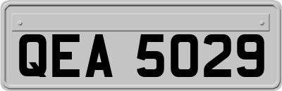 QEA5029