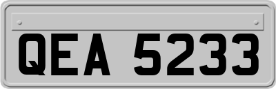 QEA5233