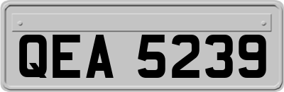 QEA5239