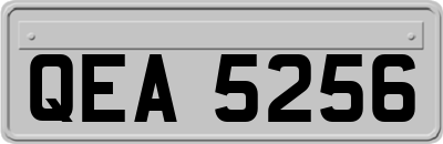 QEA5256