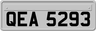 QEA5293