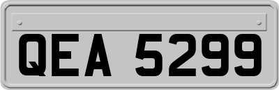 QEA5299