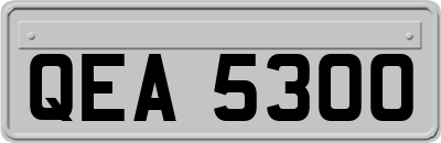 QEA5300