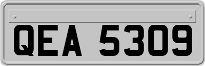 QEA5309
