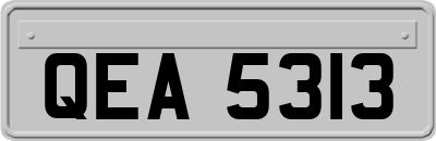 QEA5313