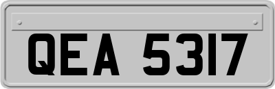 QEA5317